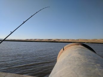 Delta Striper Fishing