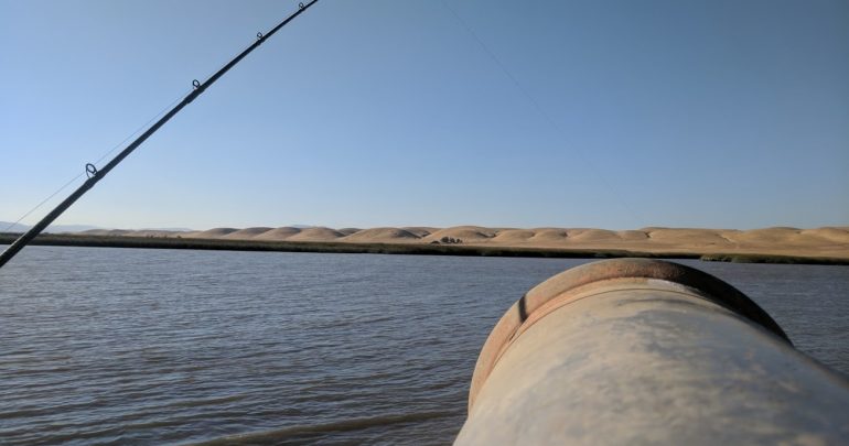 Delta Striper Fishing