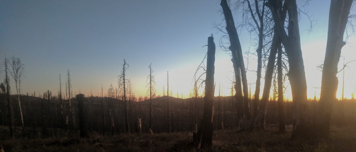 Hunting a burn area
